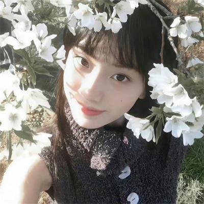 峠最后的武士